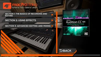 Tangkapan skrin Beginner Guide for Audition CC