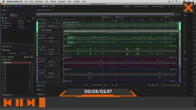 Tangkapan skrin Beginner Guide for Audition CC