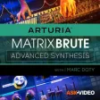 Advanced Synthesis MatrixBrute Advanced Synthesis MatrixBrute