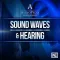 Sound Waves and Hearing Guide
