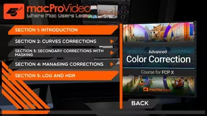 Screenshot di Adv Color Correction Course