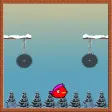 Panic Ice Bird