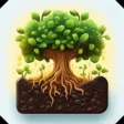 Long Roots