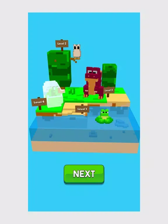 Cube Builder 3D iPad 应用截图