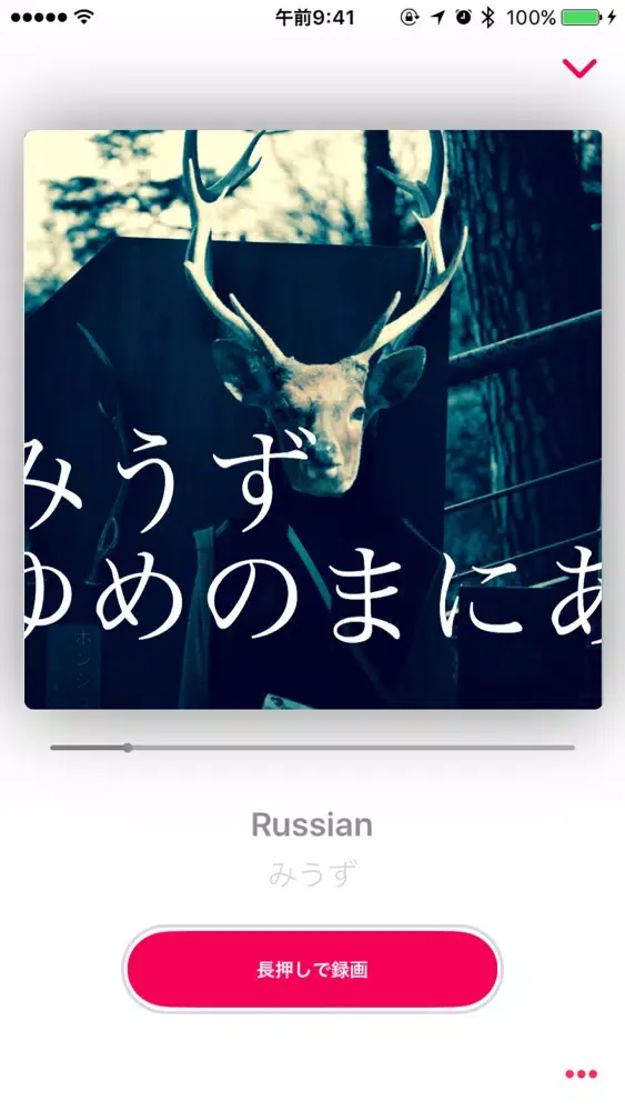 صور Miew - なうぷれを動画と一緒にツイート
