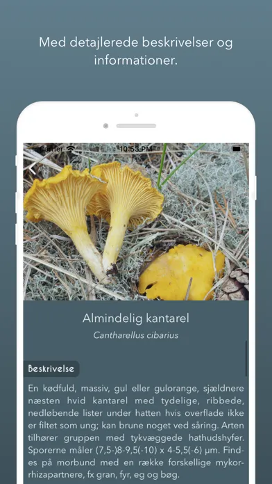 Atlas of Danish Fungi Ekran Görüntüleri