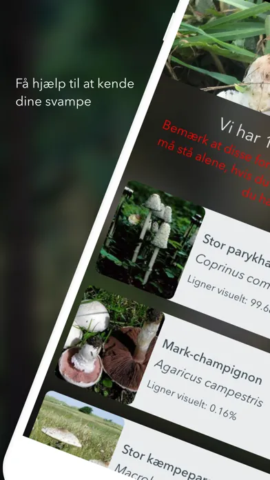 Atlas of Danish Fungi Ekran Görüntüleri
