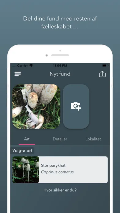 Atlas of Danish Fungi Ekran Görüntüleri