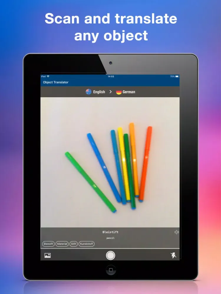 Tangkapan layar Translation and vocabulary iPad 