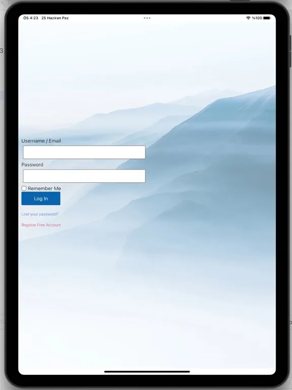 Ảnh chụp màn hình của Silk Task iPad 