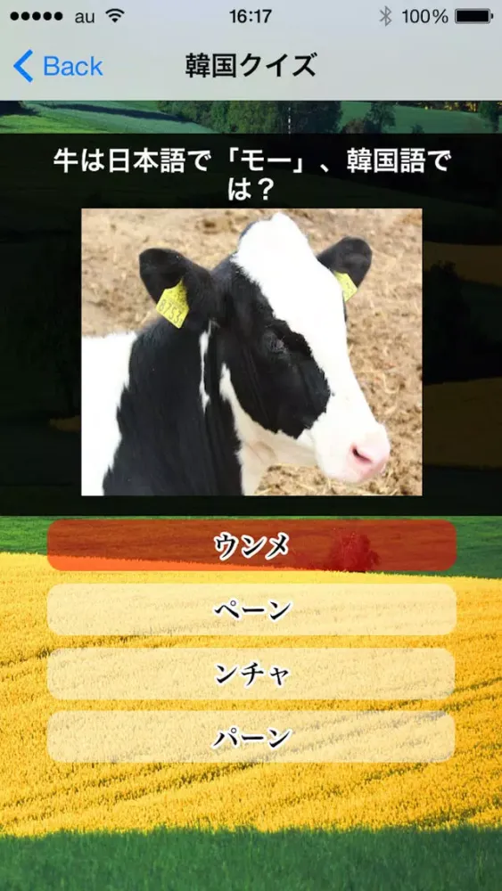 صور 【おもしろ韓国雑学】韓国トリビア１００問！