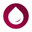 Норма