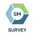 SalesManager Survey