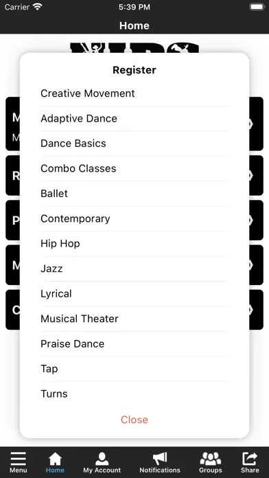 Tangkapan layar Northern Illinois Dance Center