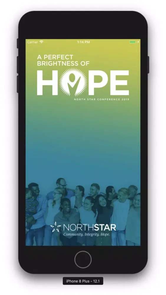 Скриншоты North Star Conference