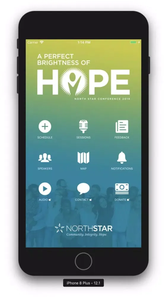 Скриншоты North Star Conference