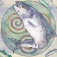 Northword AR - Salmon King Northword AR - Salmon King