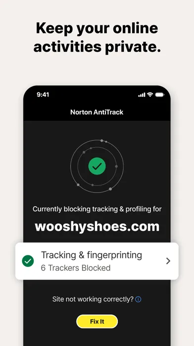 Norton AntiTrack سکرین شاٹس