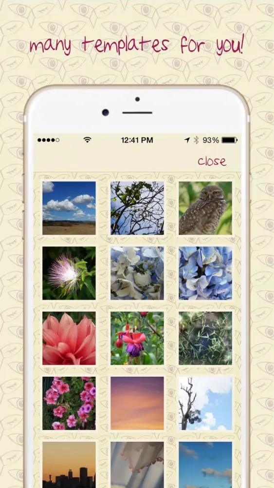 Coowl Screenshots