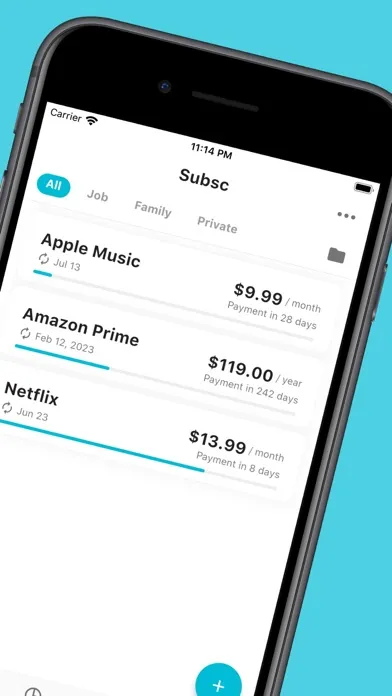 Super Subscription Tracker应用截图