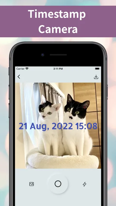 تصاویر Timestamp Camera-Add Date Time