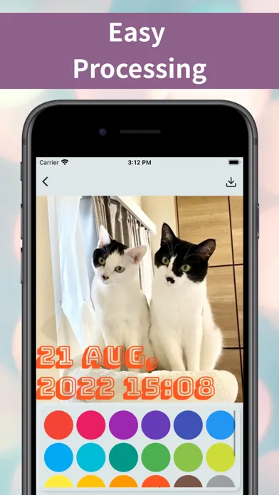تصاویر Timestamp Camera-Add Date Time