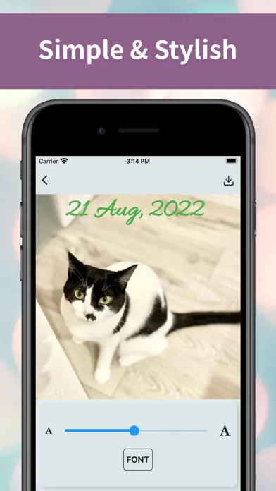 تصاویر Timestamp Camera-Add Date Time