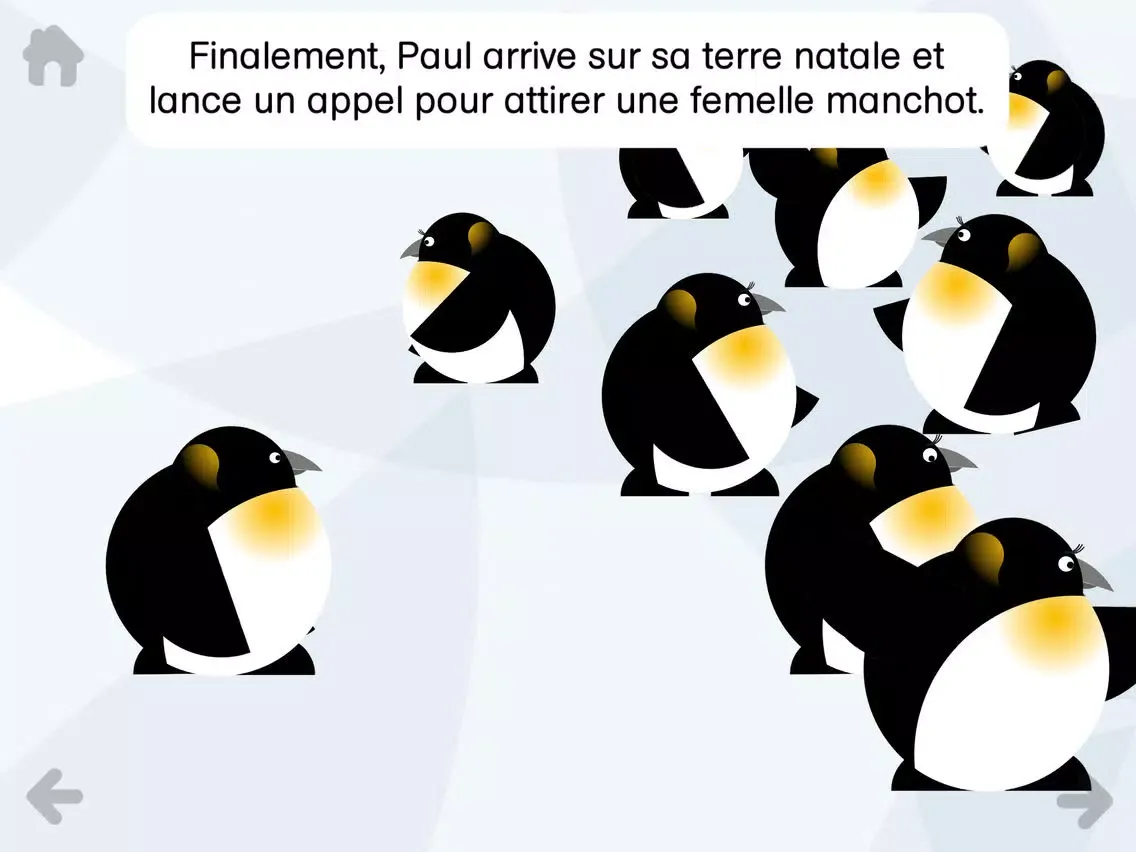 تصاویر Paul le manchot iPad 