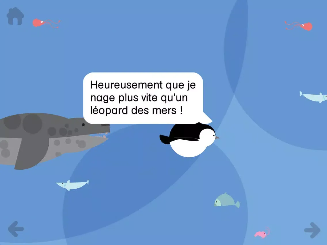 تصاویر Paul le manchot iPad 
