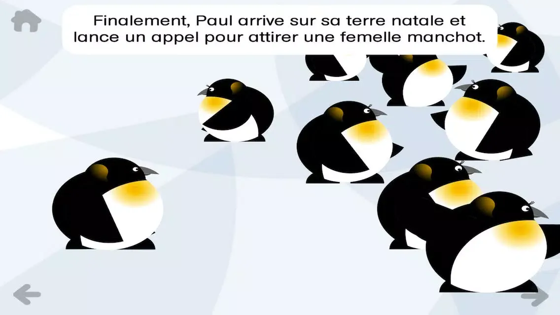 تصاویر Paul le manchot