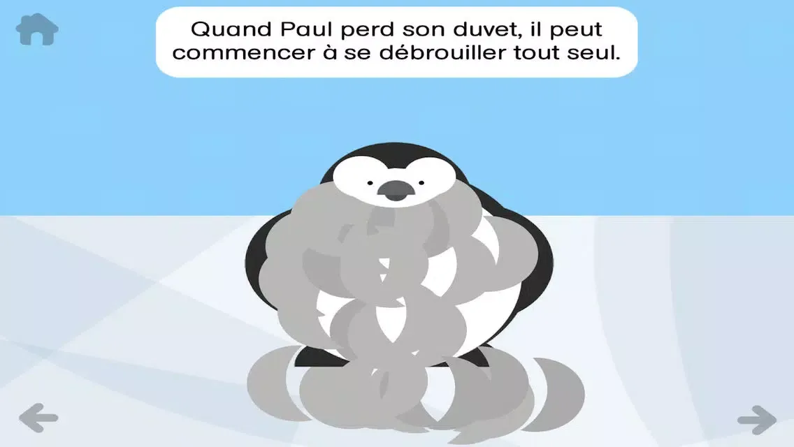 تصاویر Paul le manchot