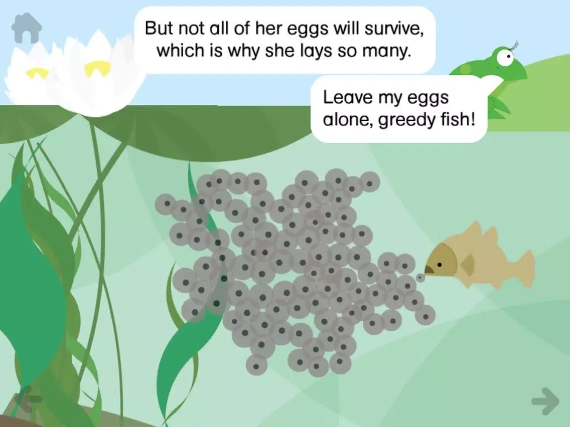 Rounds: Franklin Frog iPad  Screenshots