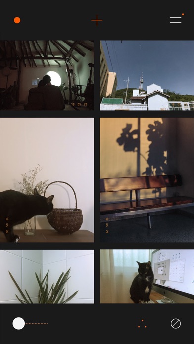 تصاویر CALLA CAM