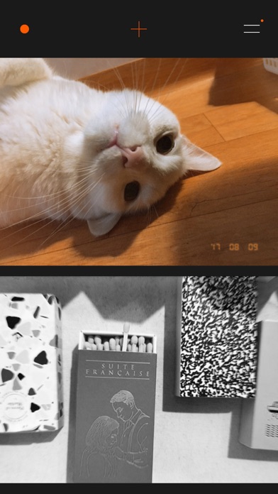 تصاویر CALLA CAM