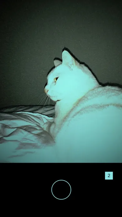 Zrzuty ekranu DAZZL CAM