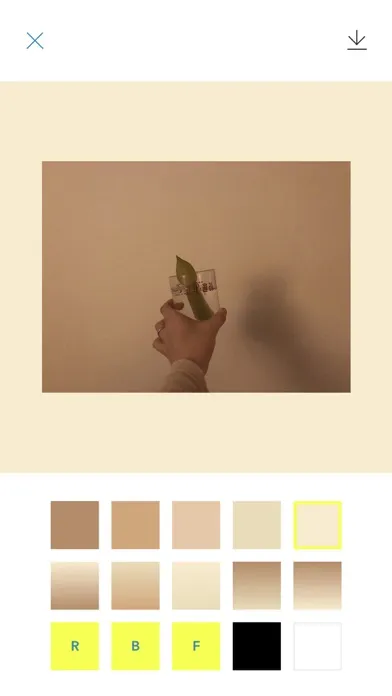 DYED Editor Ekran Görüntüleri