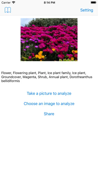Скриншоты PhotoAnalyze AI photo analyzer
