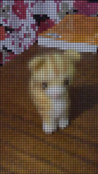 Ảnh chụp màn hình của pixelizer