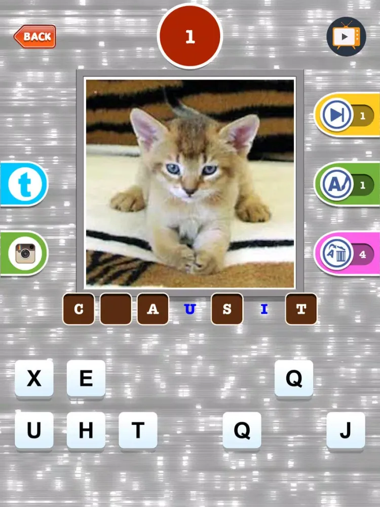 Cute Cat Breed Quiz Games iPad  Screenshots