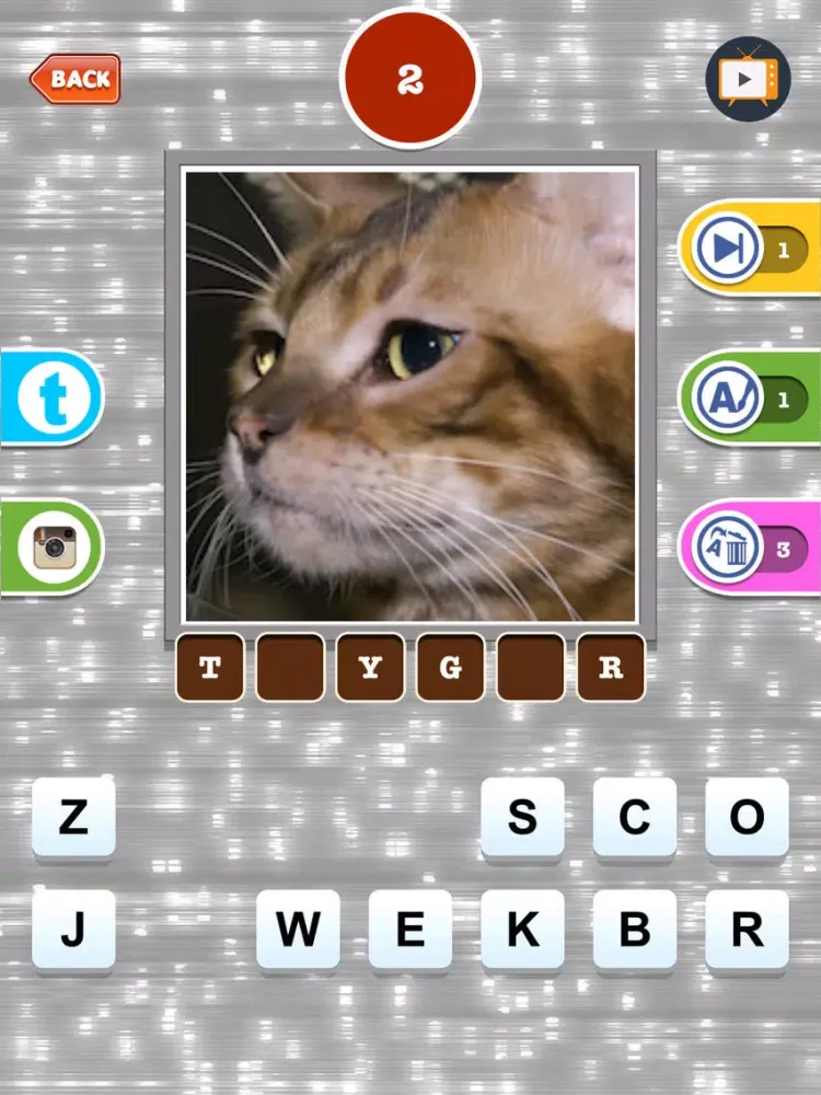 Cute Cat Breed Quiz Games iPad  Screenshots