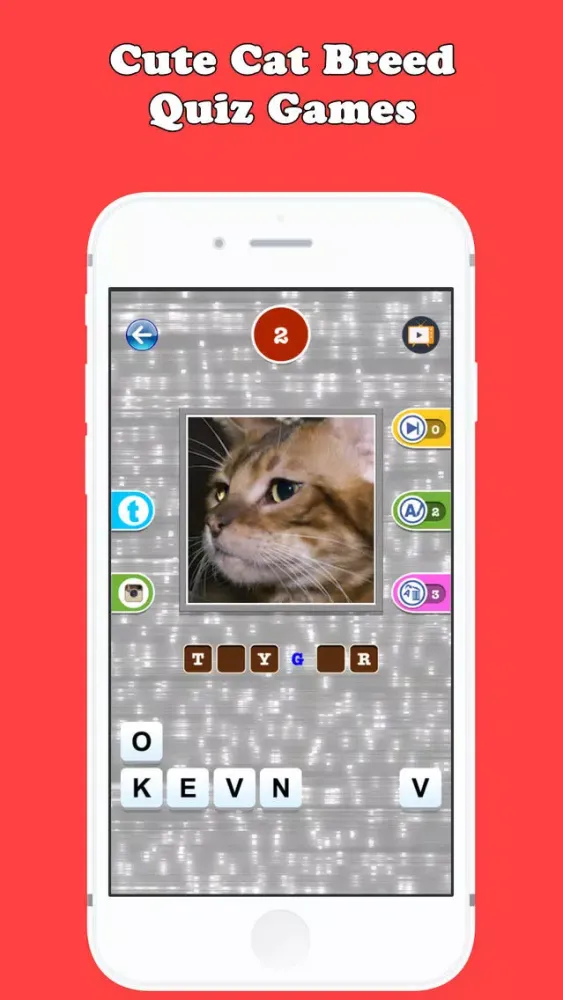 Cute Cat Breed Quiz Games Screenshots