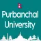 PU Notes