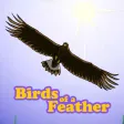 Birds Of A Feather Scorekeeper