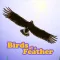 Birds Of A Feather Scorekeeper