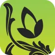 Plants Pedia: North America Trees & Flowers Scientific Reference