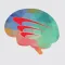 Cerebro UX