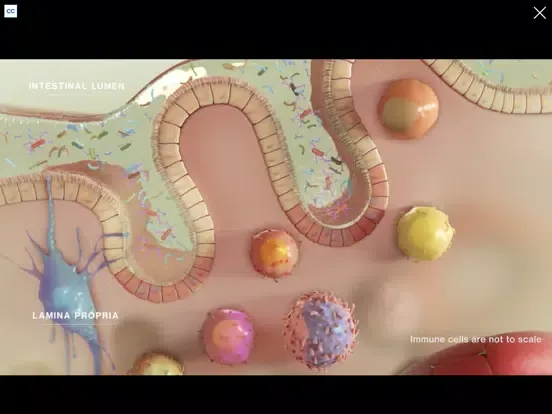Capturas de pantalla de AS Progression Visualizer iPad 