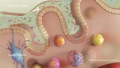 Capturas de pantalla de AS Progression Visualizer
