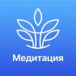 Тишина говорит: Медитация сна
