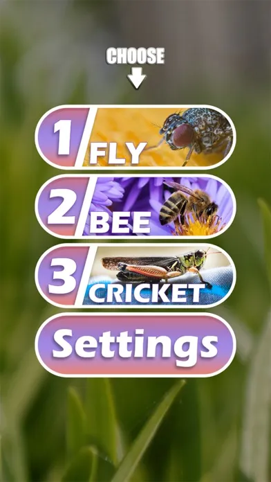 Insect sounds(fly,bee,cricket) Screenshots